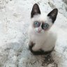Hello Sun 的头像