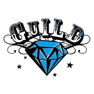 guild_advent's profile picture