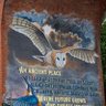 Dr Owl profil fotoğrafı