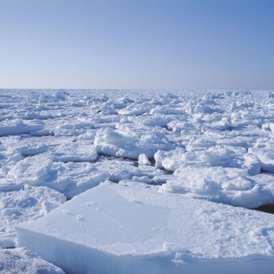 流氷なび's profile picture