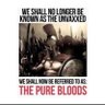 Фото профиля Pure Blood ❌