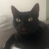 Louisana profil fotoğrafı