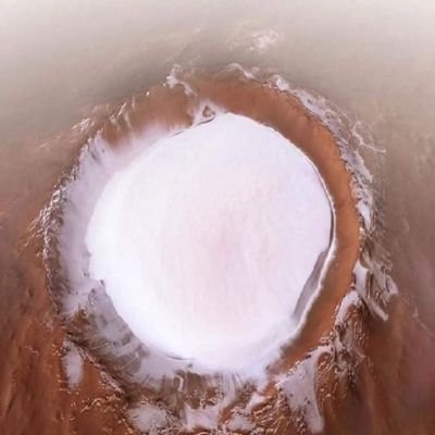 NorgeBjorn's profile picture