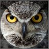 Profilbild von Lirrok