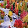 Фото профиля fraseryosh