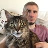 CheeseNo24inAminor profil fotoğrafı