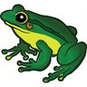 かえる🐸提督とか先生とか🎮's profile picture