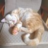 ふくちゃん 的头像