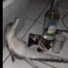Martines Basg Aguilar's profile picture