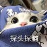 东往于此处 的头像