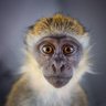 Profilbild von Laurent PARIS