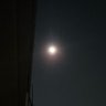 信天's profile picture