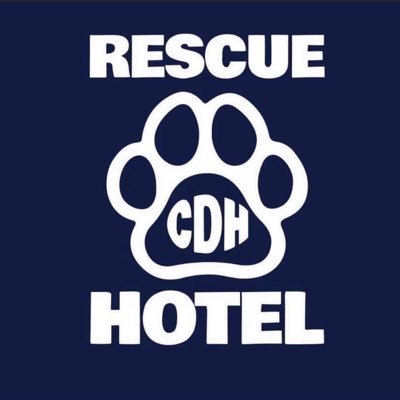 therescuehotel's profile picture