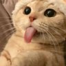 Фото профиля ไม่บอกหรอกหมก😜