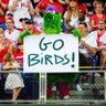 Фото профиля Gobirds!