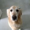 HaineTV profil fotoğrafı