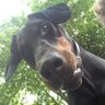 Jasper Gotting's profile picture