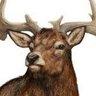 Profilbild von Fia Mór