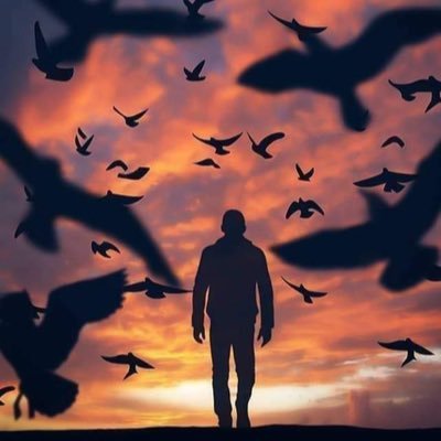 نشهل ابن بسطام's profile picture