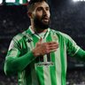 Prórrogaverdiblanca's profile picture