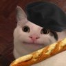 Profilbild von baluga