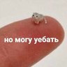 атомная заточка из пера 的头像