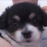 Profilbild von Juanjitoooooooo