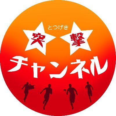 totsugekipower's profile picture