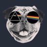 Фото профиля Gary