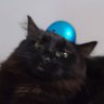 jasobb's profile picture