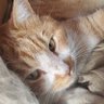 すずけん👼🏻‎🎀︎🤍's profile picture