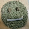 Dr_Mobius's profile picture