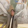 Abd Elrahman mahmuod Shetawy's profile picture