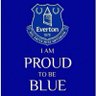 Footballing Blues 的头像