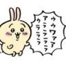 げれげれ's profile picture