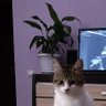Ivanychka178 profil fotoğrafı