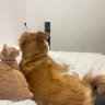 JudithCaudill profil fotoğrafı
