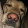 Profilbild von Jasper n Malcolm💙