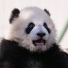 こいちゃん 的头像