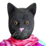 Mr Jack The Black Cat 的头像