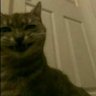 Chriis Andrade's profile picture