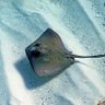 Фото профиля BobbyG