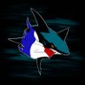 San Jose Sharks FR profil fotoğrafı