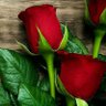 sayak75's profile picture