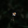 .'s profile picture