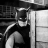 Batman Herdeiro's profile picture