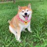 104aki's profile picture