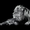 Pratik .R. Tanwar's profile picture