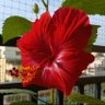 Фото профиля Selva Selva