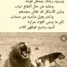 Фото профиля محمد اللامي